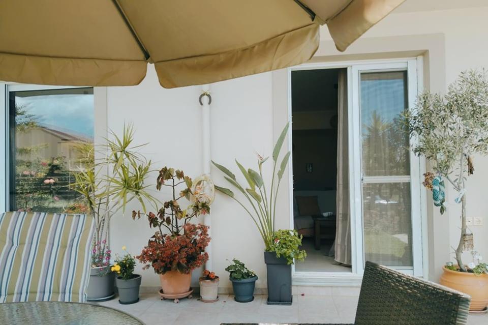Xrysa'S Garden Leilighet Mesolóngion Eksteriør bilde